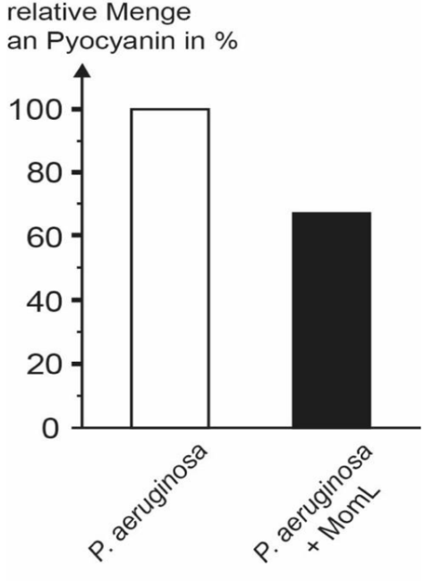 Balkendiagramm zur relativen Menge von Pyocyanin bei P. aeruginosa mit und ohne MomL